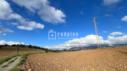 TERRENO URBANIZABLE DE CASI 80.000 M PARA DESARROLLO DE 250 VIVIENDAS EN COLMENAR, MÁLAGA, immagine 2