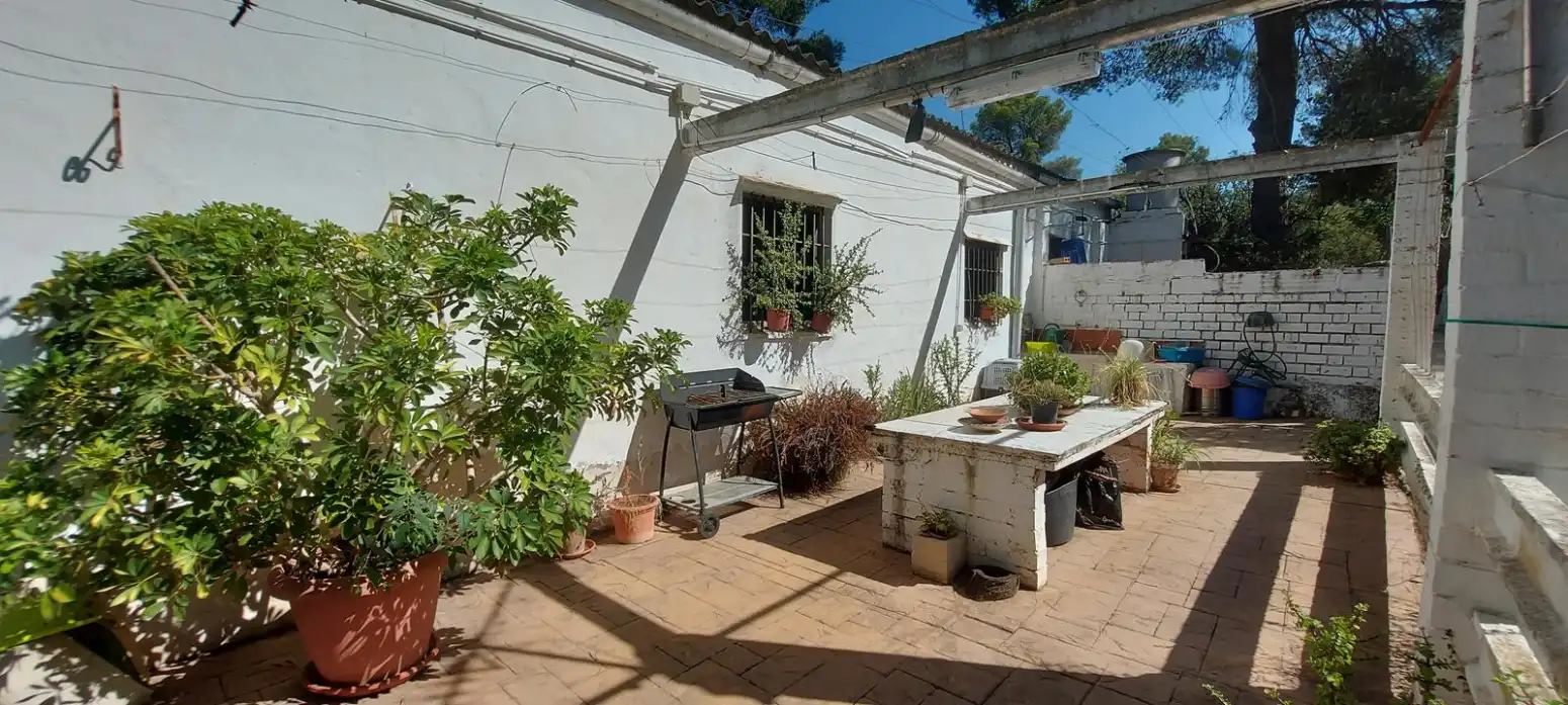 Jardí de Casa o xalet en venda en Alfara de la Baronia amb Terrassa