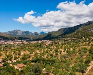 Vista exterior de Finca rústica en venda en Andratx amb Aire condicionat, Calefacció i Jardí privat