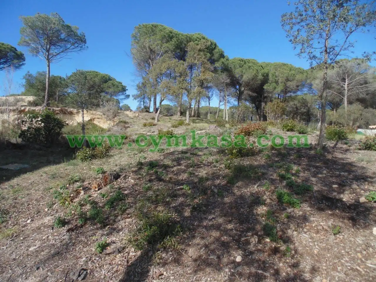 Rural land for sale in Sils, imagen 2