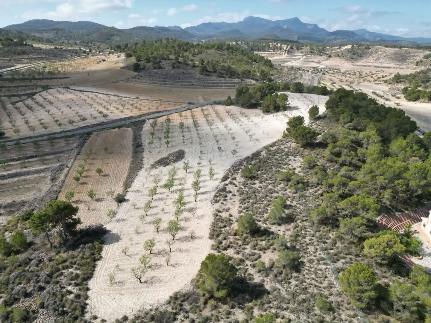 Terreny residencial en venda a Jumilla, imagen 11