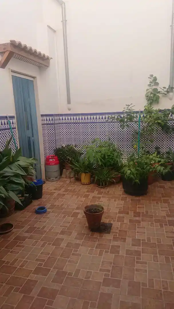 Jardí de Casa adosada en venda en Jódar amb Aire condicionat i Balcó