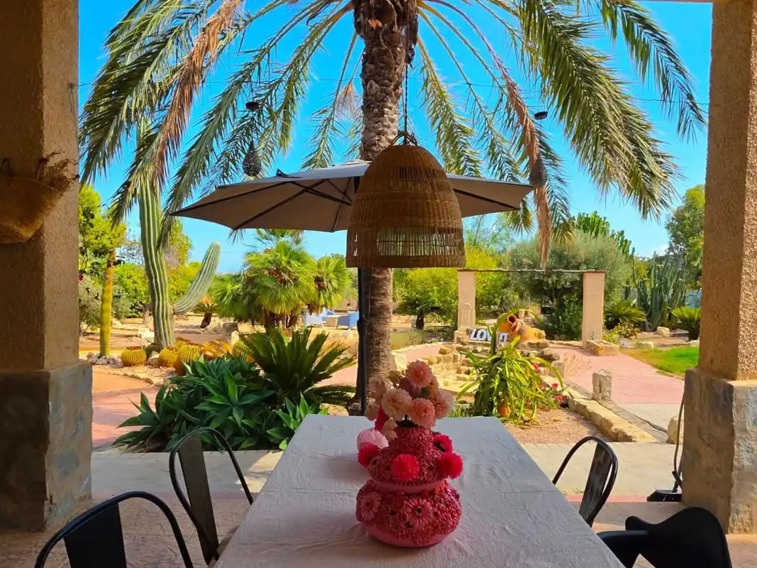 House with pool for sale in Elche ciudad, imagen 7