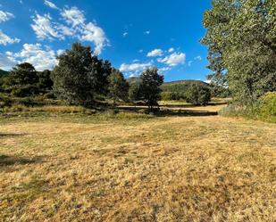 Land for sale in Arenas de San Pedro