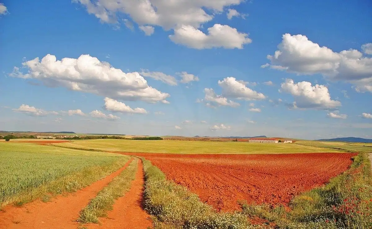 Land for sale in Morón de Almazán