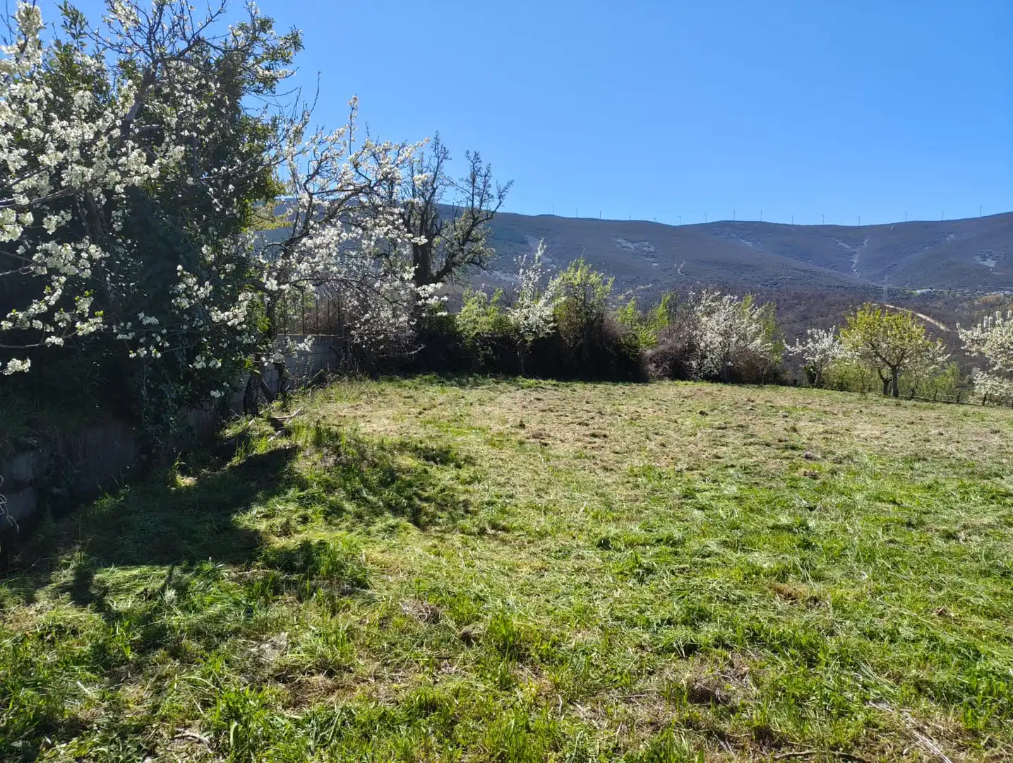 Land for sale in Castropodame