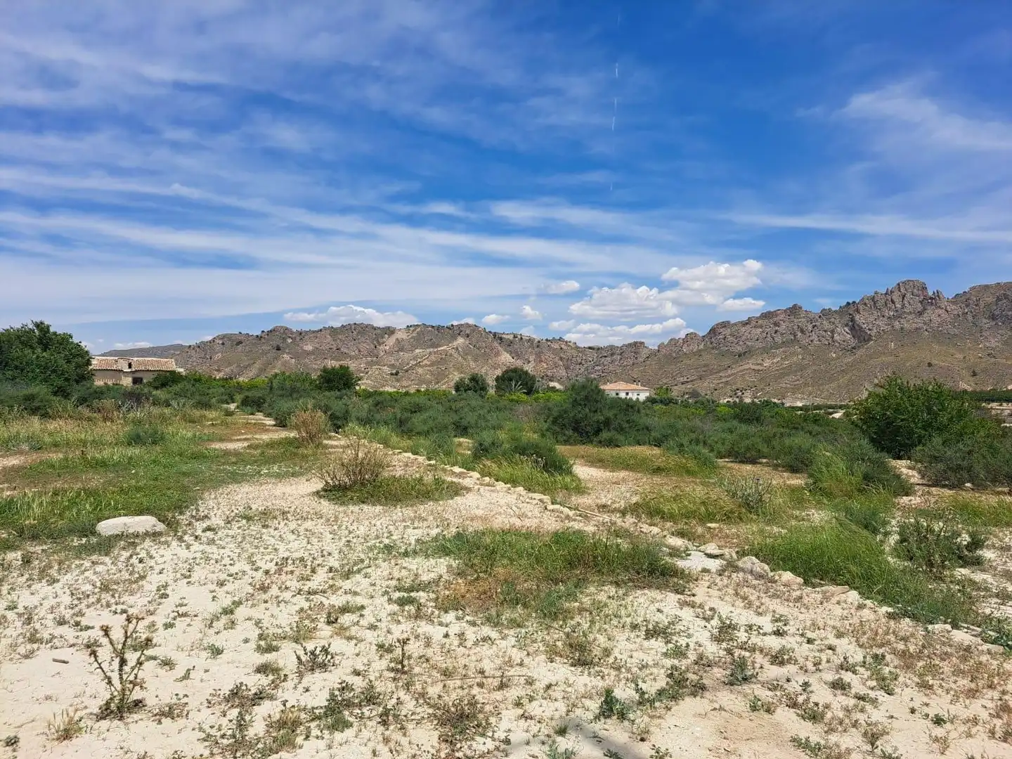 Residential land for sale in Abarán, imagen 9