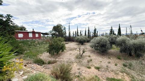 Photo 5 of House or chalet for sale in Partida la Molineta, 11, Crevillent, Alicante