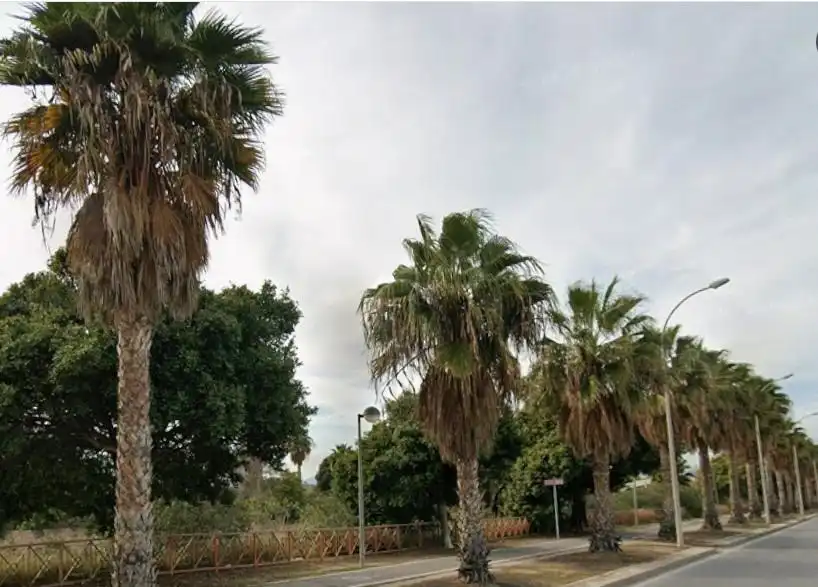 Loft de lloguer a Albufereta
