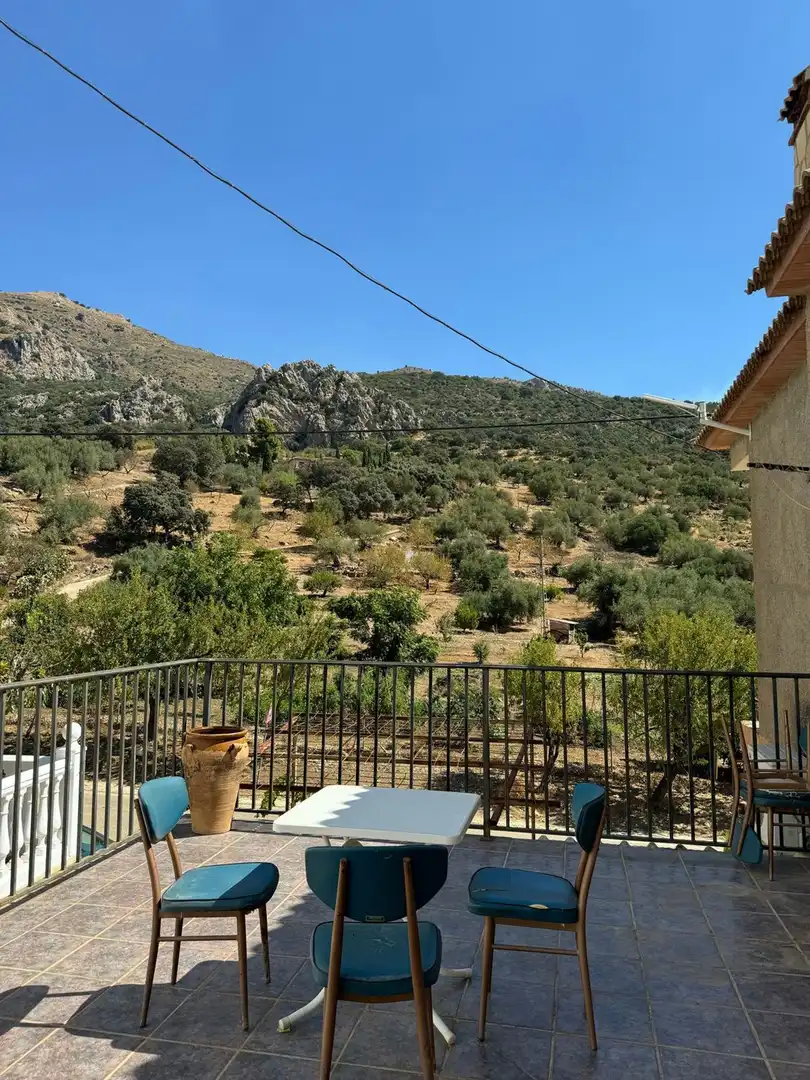 Jardí de Local en venda en Alfarnatejo