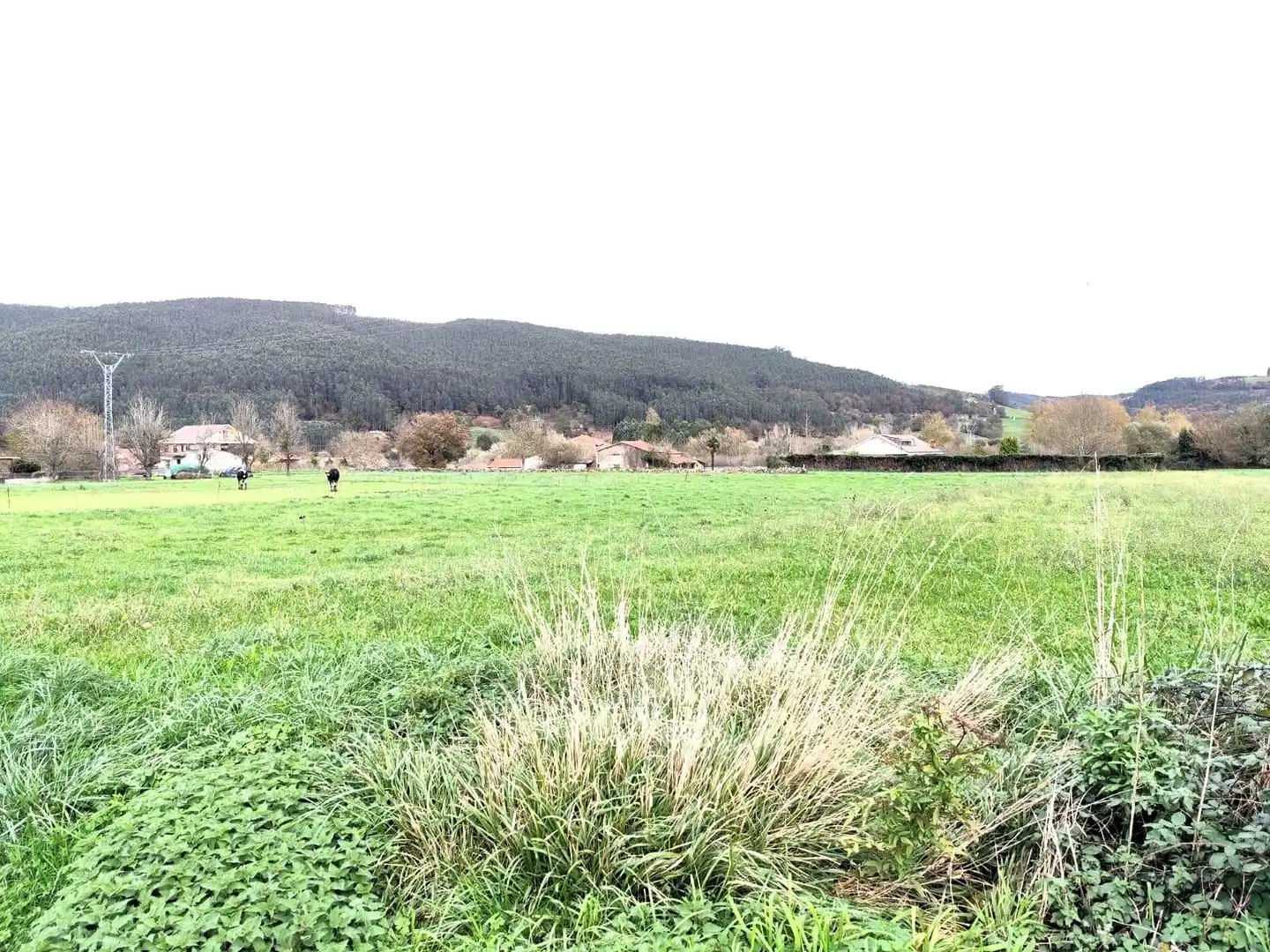 Grundstücke und Bauplätze zum Verkauf in Castañeda, imagen 4