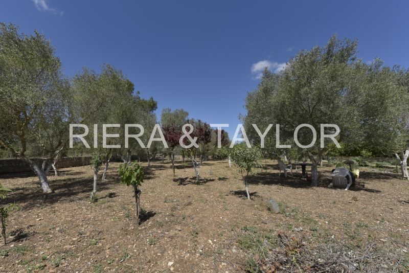 Finca rústica en venda en Sant Llorenç des Cardassar