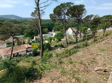 Residential land for sale in Terrafortuna - Puig Ventós
