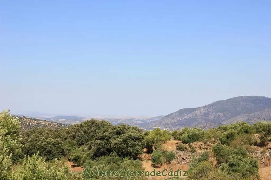 Finca rústica en venta en Montecorto