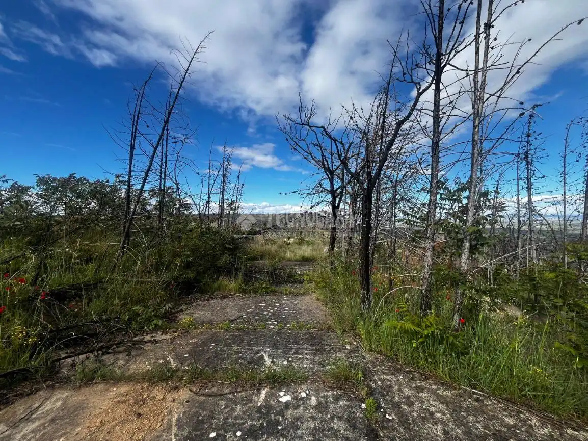 Land for sale in Borja