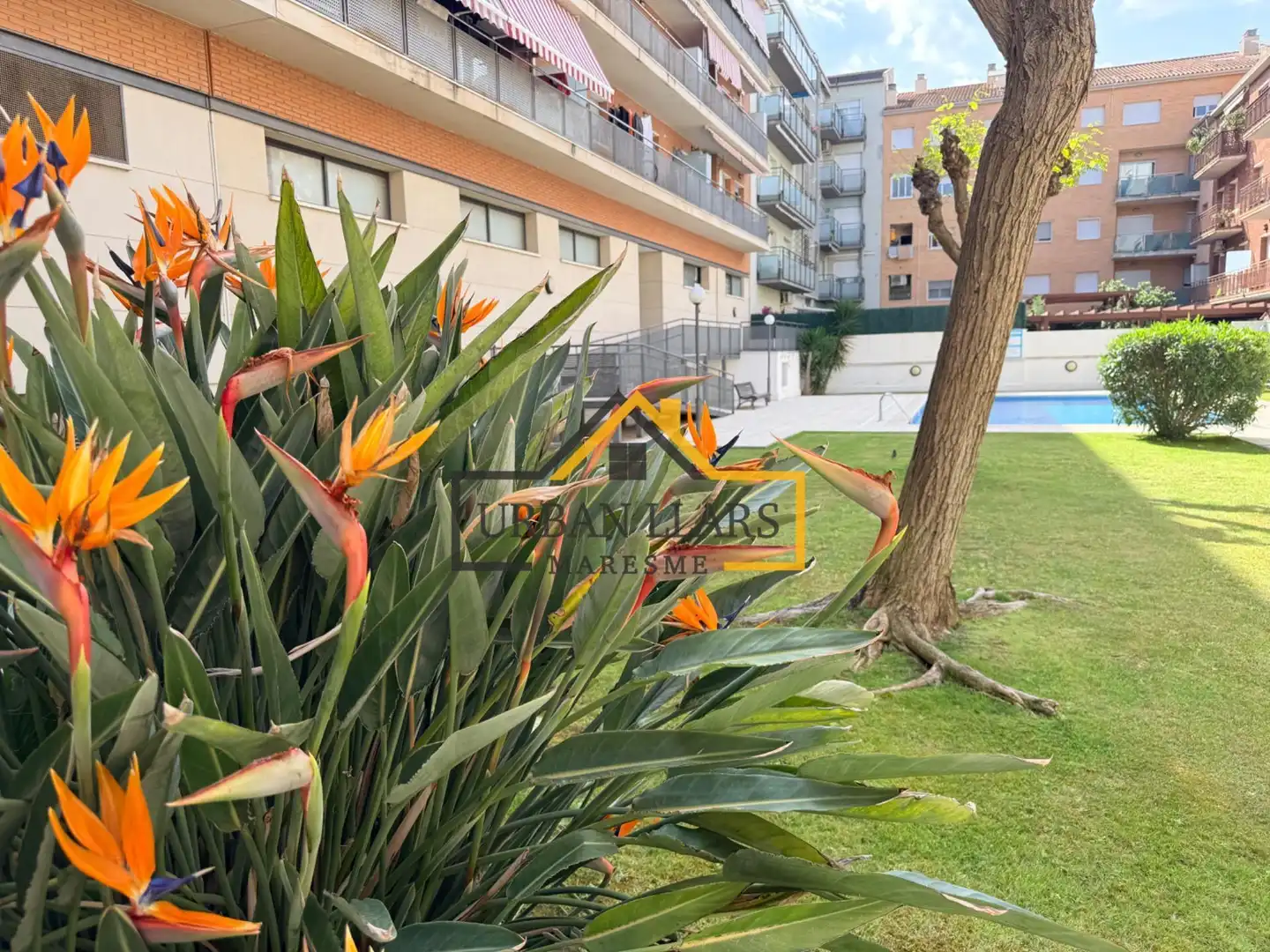 Dúplex con terraza en venta en Calella, imagen 58