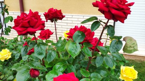 Foto 5 de Pis en venda a Sojuela, La Rioja