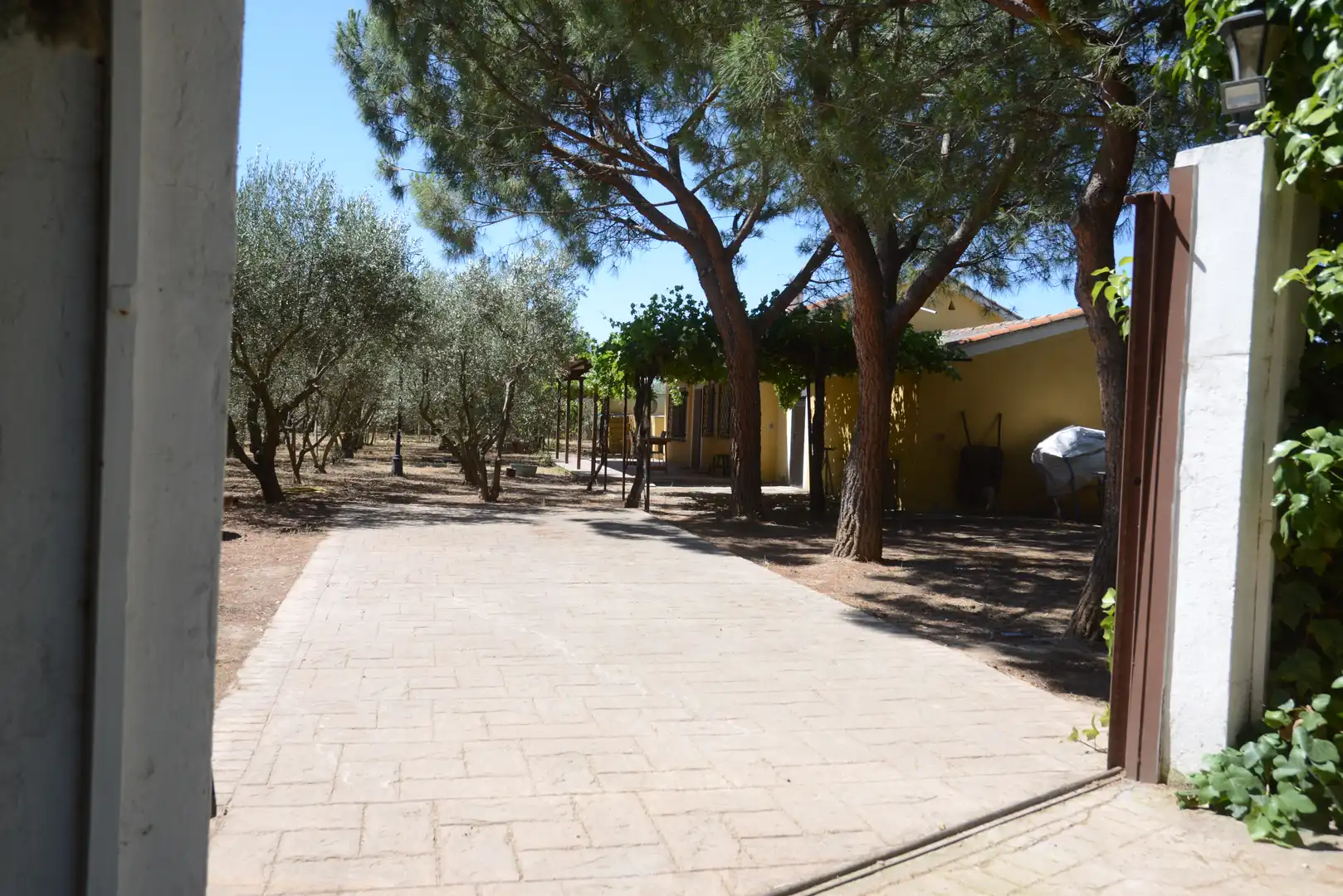 Finca rústica en venta en Fuente El Saz de Jarama