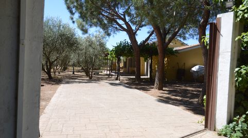 Foto 4 de Finca rústica en venta en Fuente El Saz de Jarama, Madrid