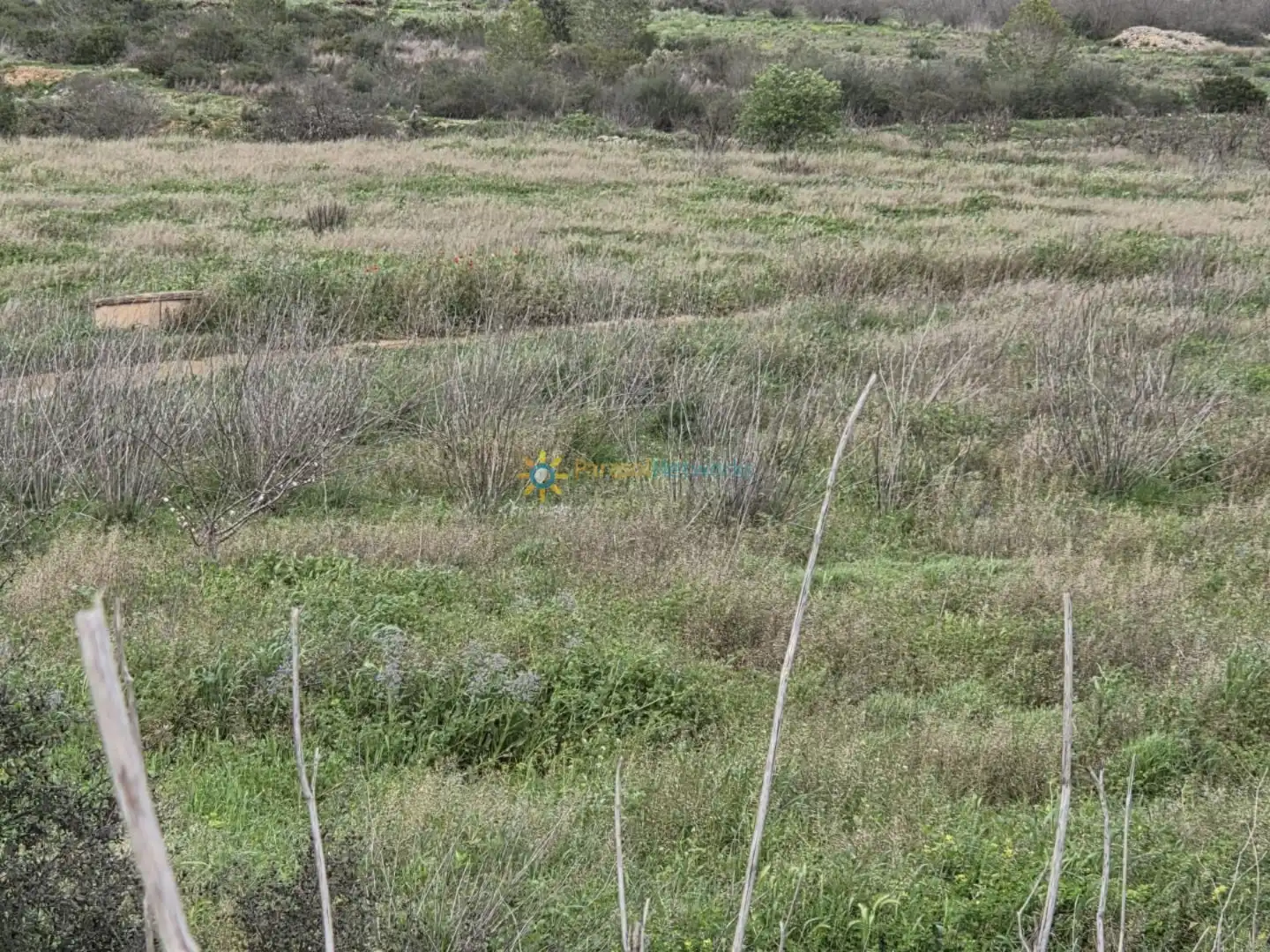 Land for sale in Benigànim