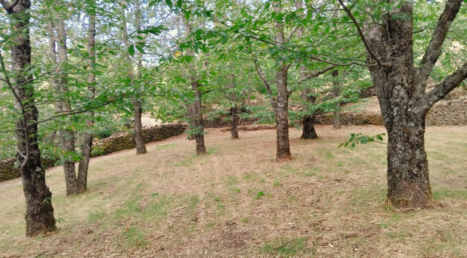 Rustikales Grundstück zum Verkauf in Avenida Extremadura 72, imagen 10