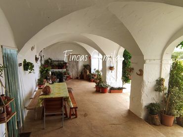 Terreno rústico en venta en POLIGONO 8 15