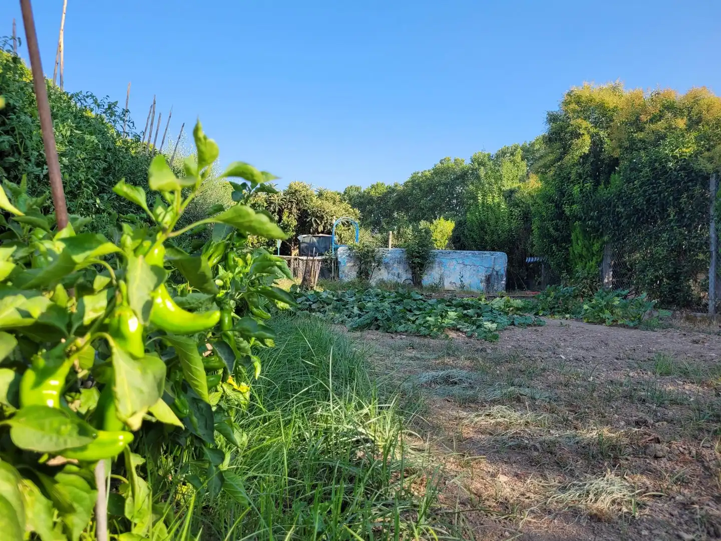 Terrenos y solares en venta en de Codis, imagen 13