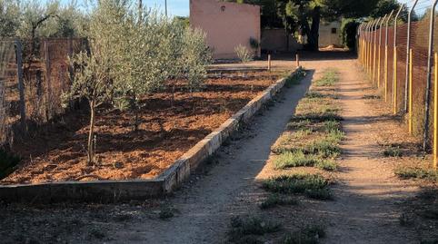 Photo 5 of Country house for sale in Calle Velarde, Villanueva del Ariscal, Sevilla