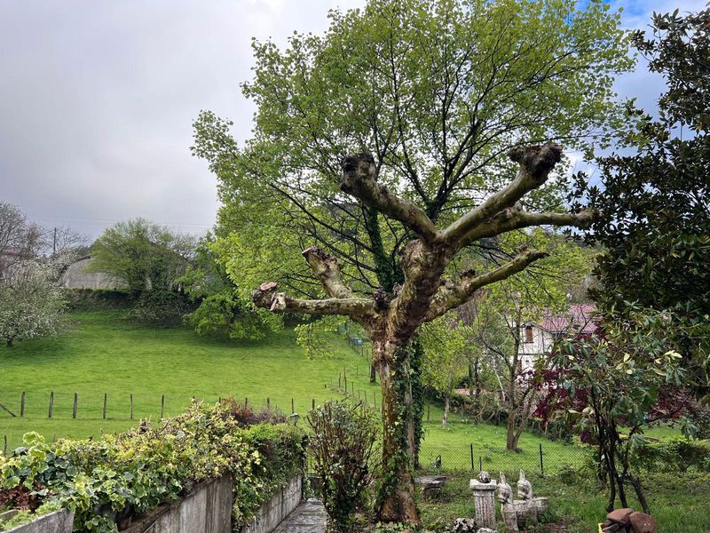 Jardí de Casa o xalet en venda en Berastegi amb Calefacció, Jardí privat i Moblat