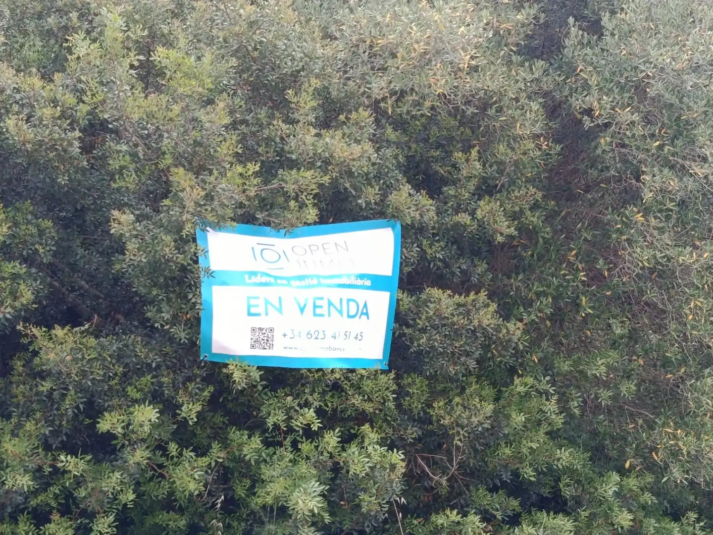 Terreny residencial en venda a Olivella, imagen 4