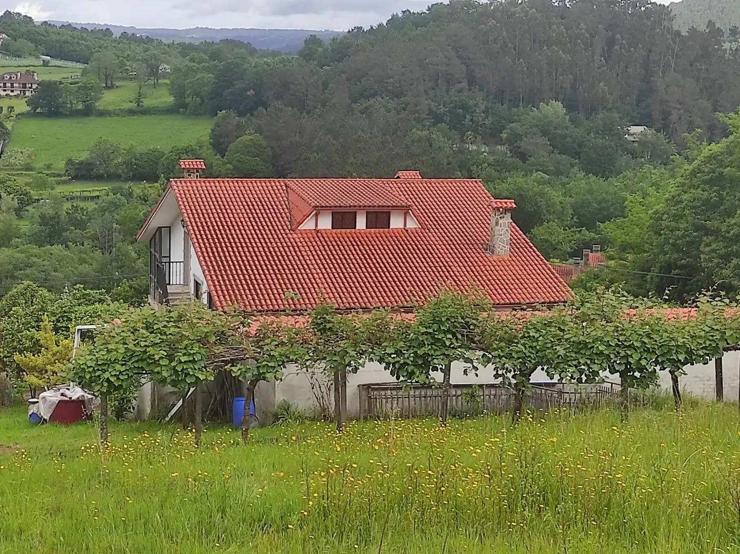 Vista exterior de Casa o chalet en venta en Vila de Cruces con Calefacción, Jardín privado y Terraza