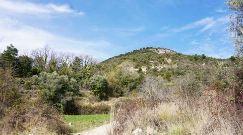 PARCELA RUSTICA EN VENTA EN PANILLO, imatge 5