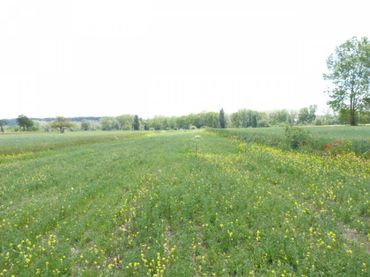 Terreno rustico in vendita a Villarcayo de Merindad de Castilla la Vieja