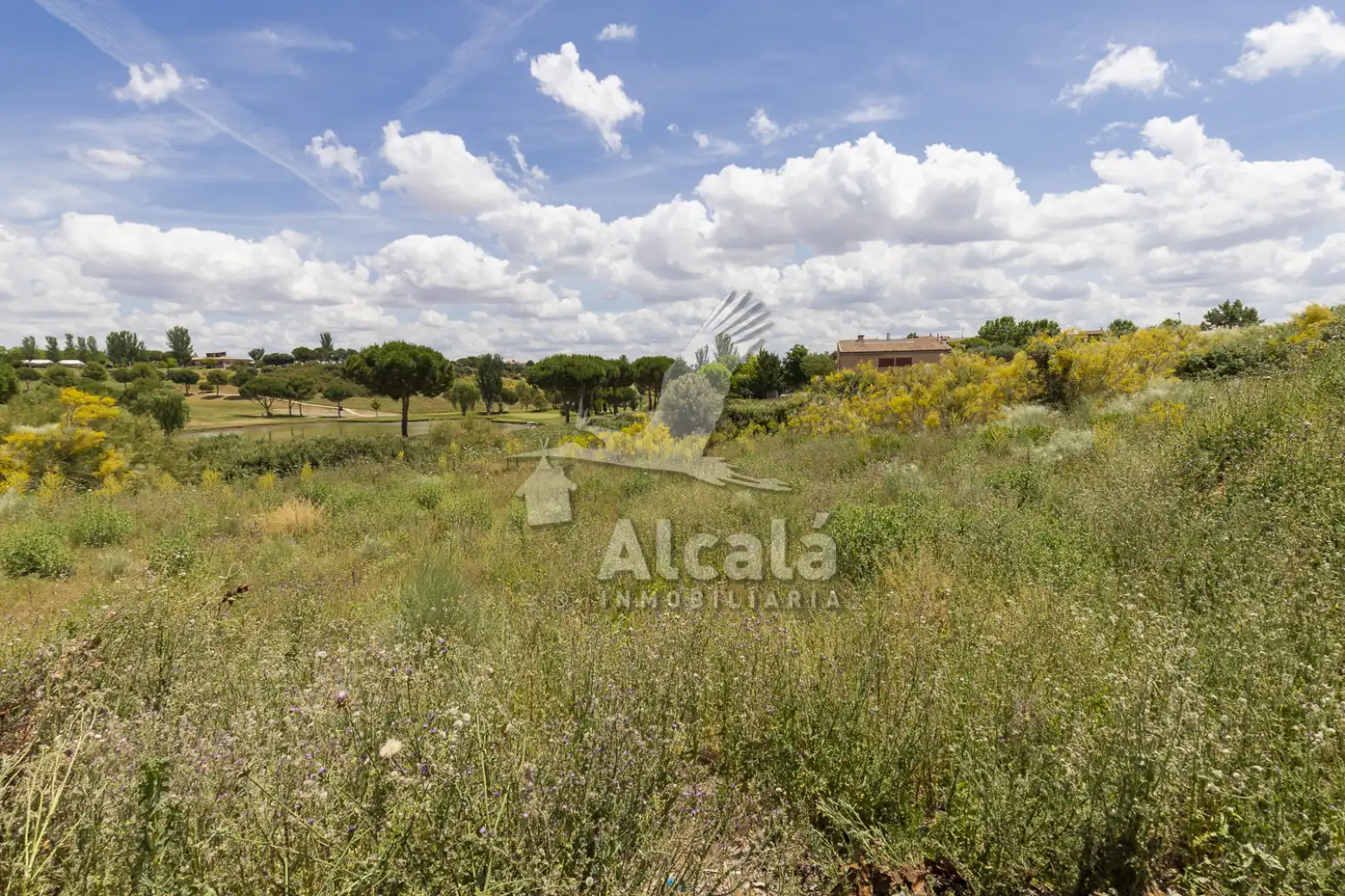 Terreny rústic en venda a Cabanillas del Campo, imagen 20