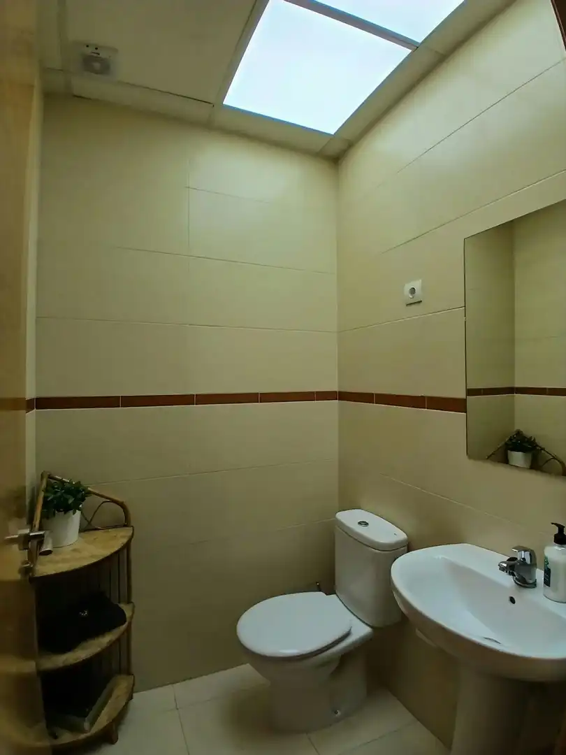 Bathroom of Flat for rent in Málaga  with Air Conditioner and Furnished