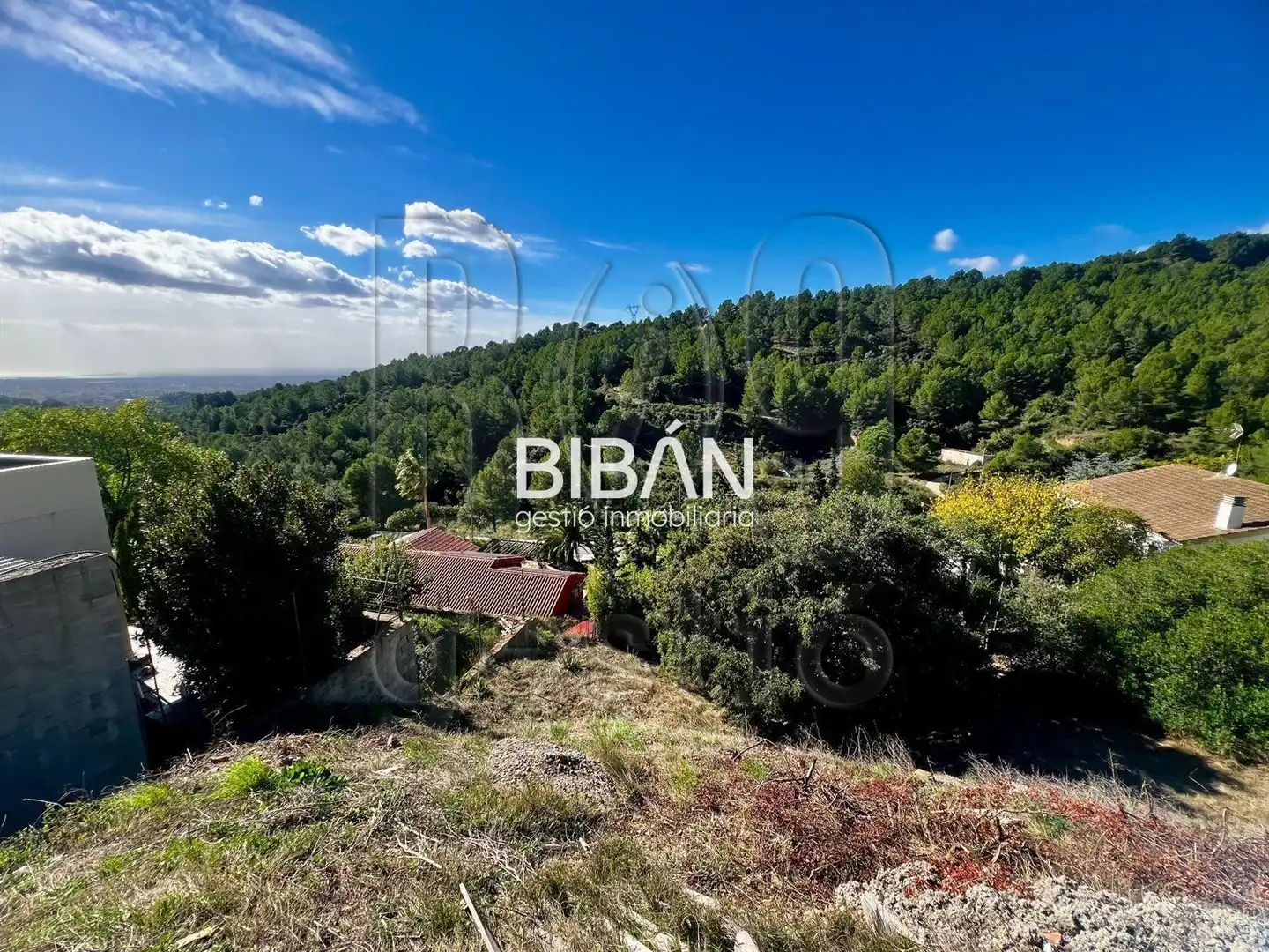 Terreno en venta en Almoster