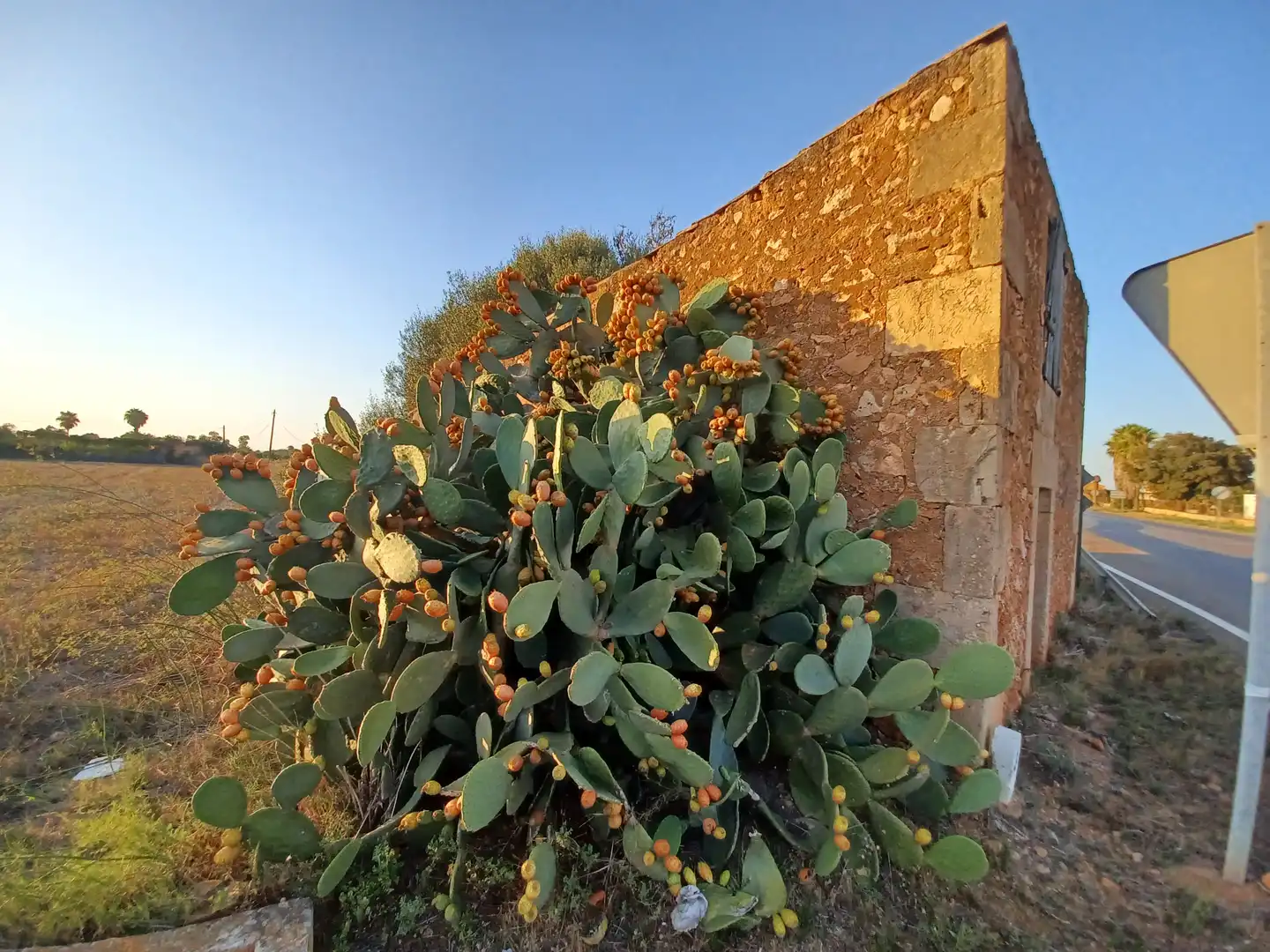 Jardín de Terreno en venta en Campos