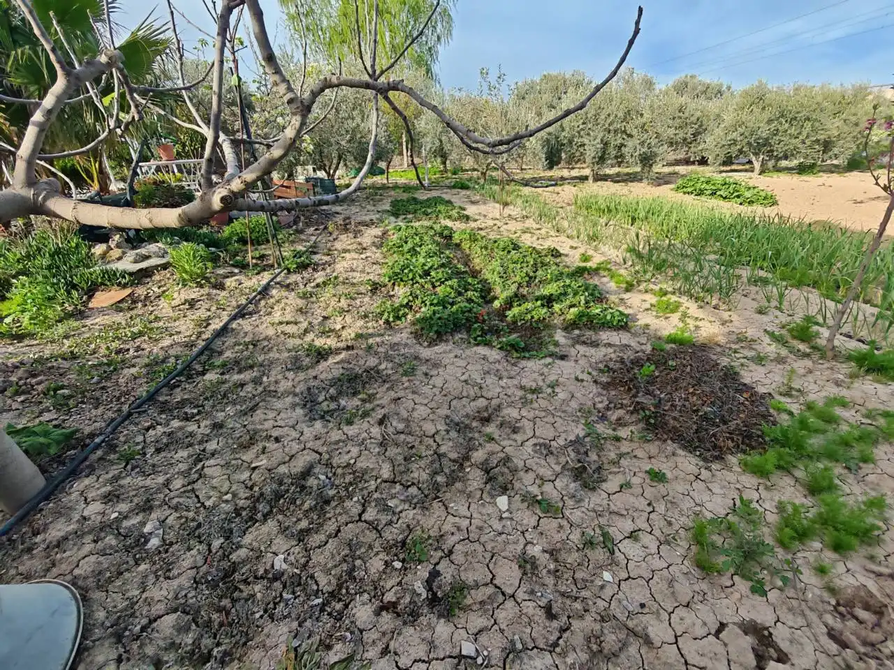 Finca rústica en venta en Huétor Tájar con Jardín privado, Piscina y Amueblado