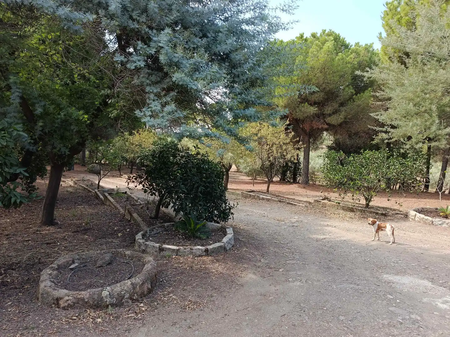 Casa rústica amb piscina en venda a Andújar, imagen 17