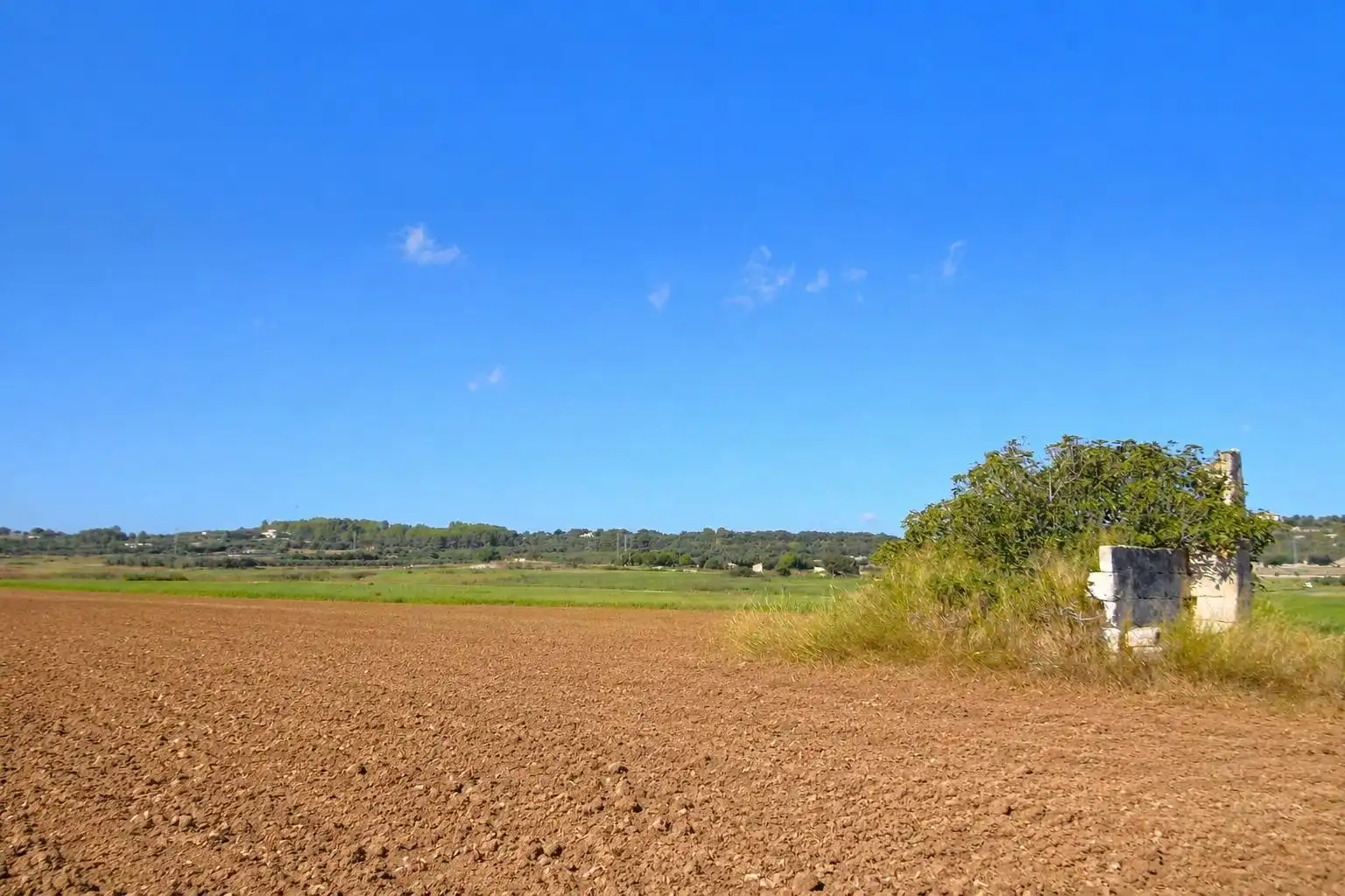 Rural land for sale in Muro, imagen 11