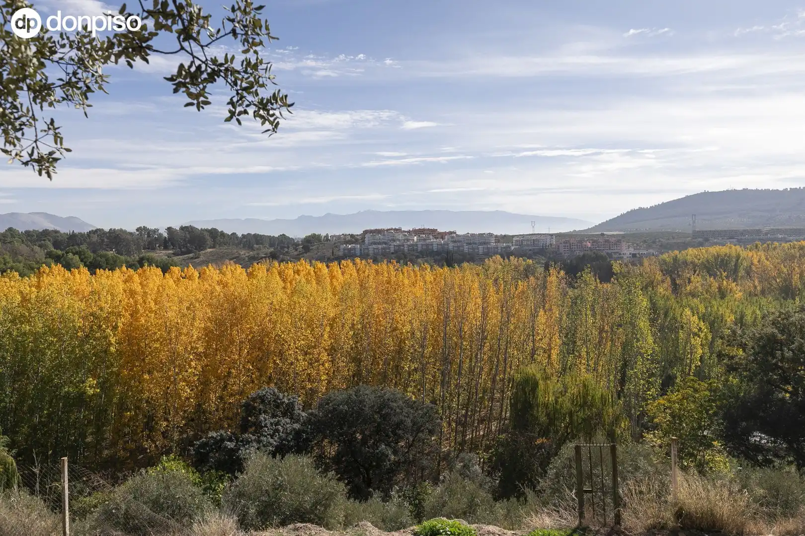 Vista exterior de Finca rústica en venta en Maracena con Calefacción, Jardín privado y Terraza