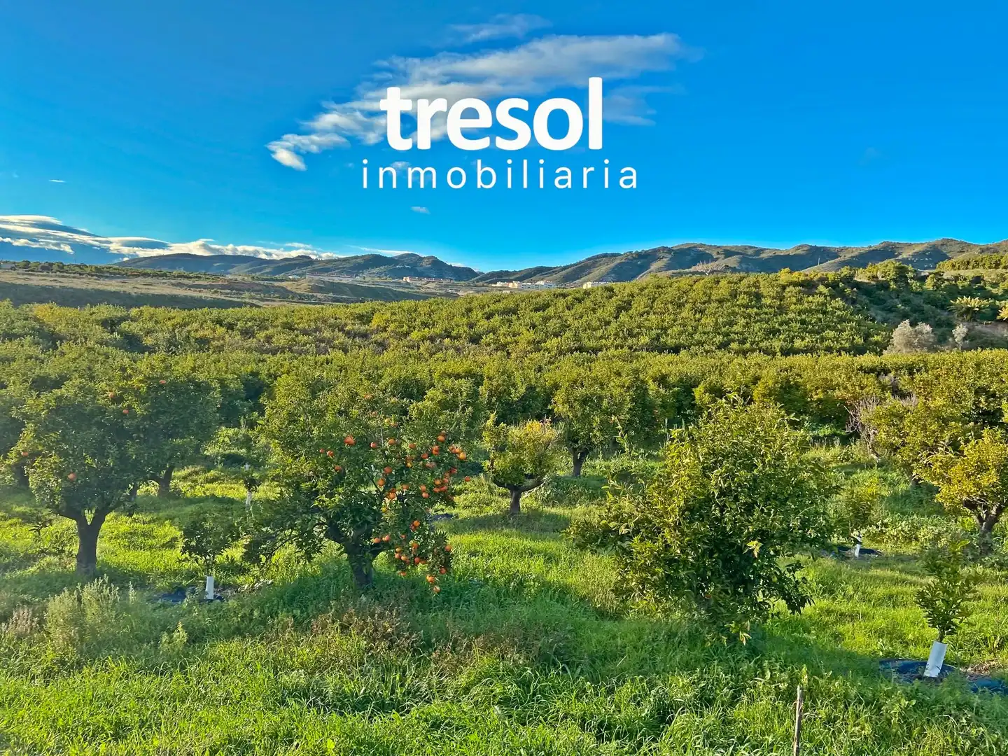 Terreno rustico in vendita a Centro