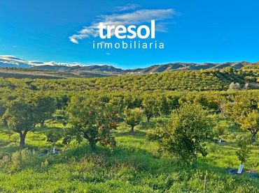Rural land for sale in Centro