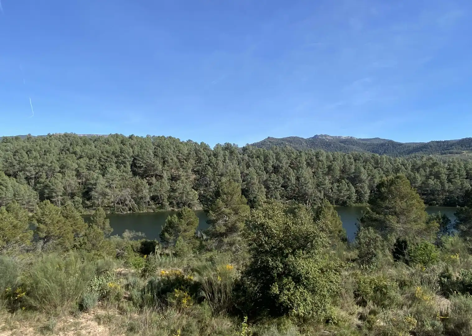 Residencial en venta en Els Guiamets