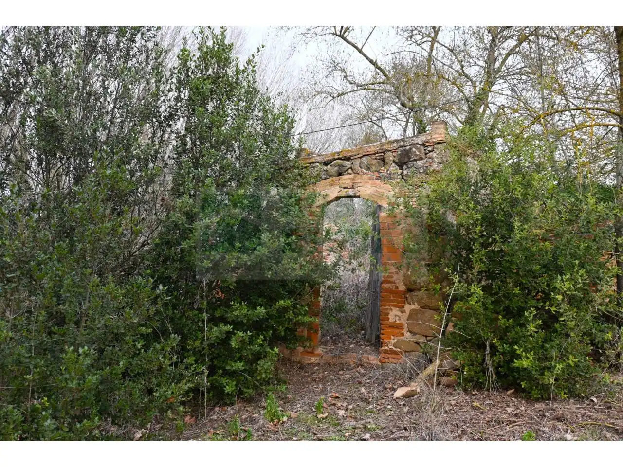 Finca rústica en venta en La Pera