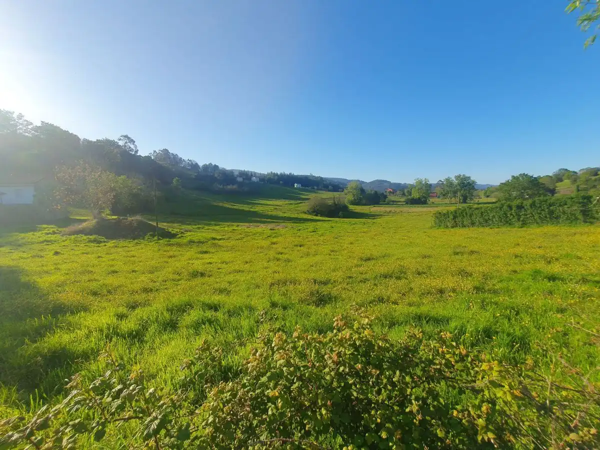 Terrenos y solares en venta en Salas, imagen 5