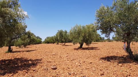 Foto 5 von Country house zum Verkauf in Villanueva del Duque, Córdoba