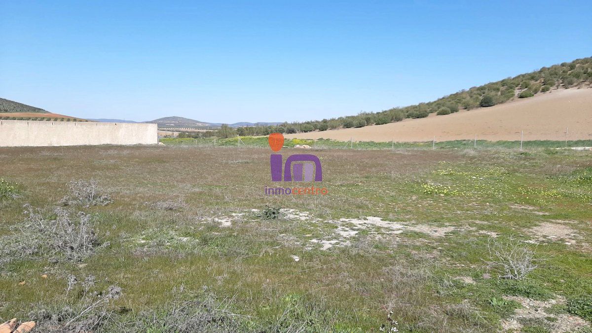 Finca rústica en venda en Santa Cruz de Mudela