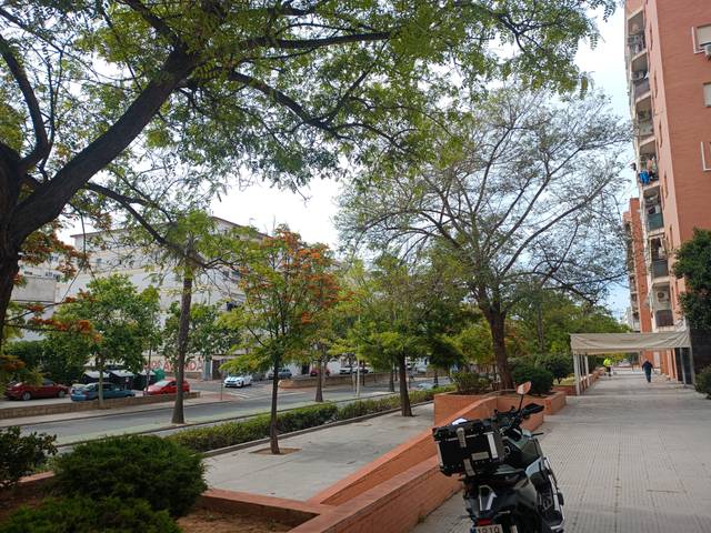 Local comercial en Venta en Avenida de Cristóbal Colón, 7R en El Carmen - Cardeñas