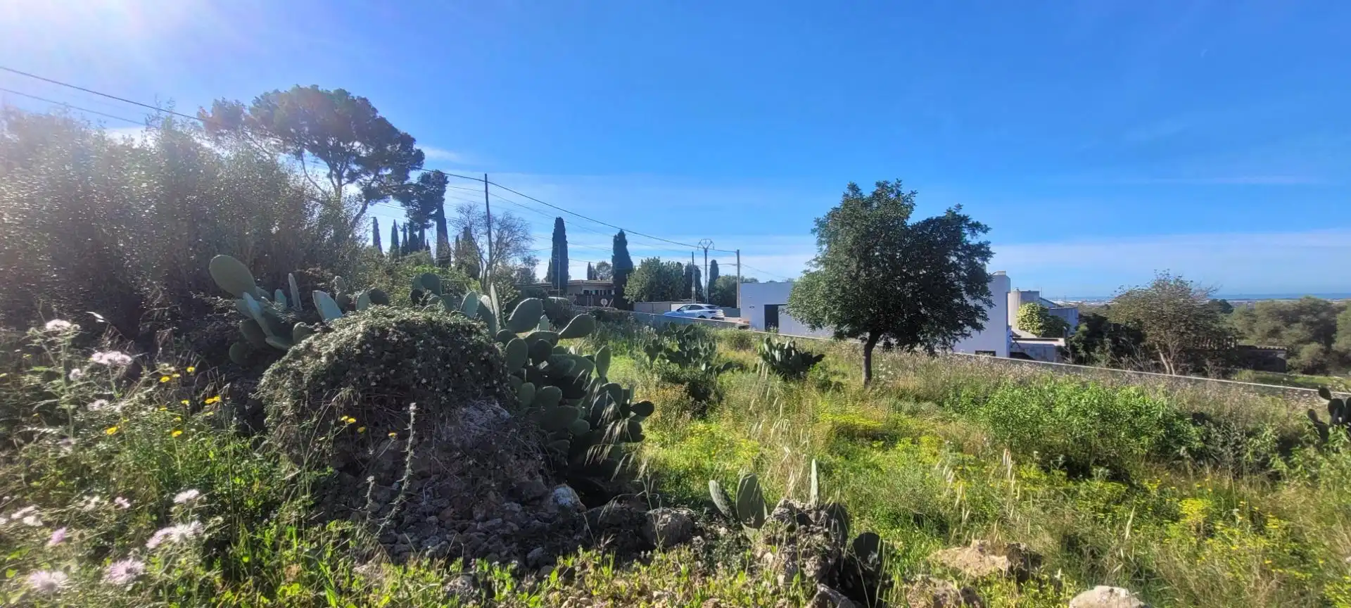 Residencial en venda en Marratxí